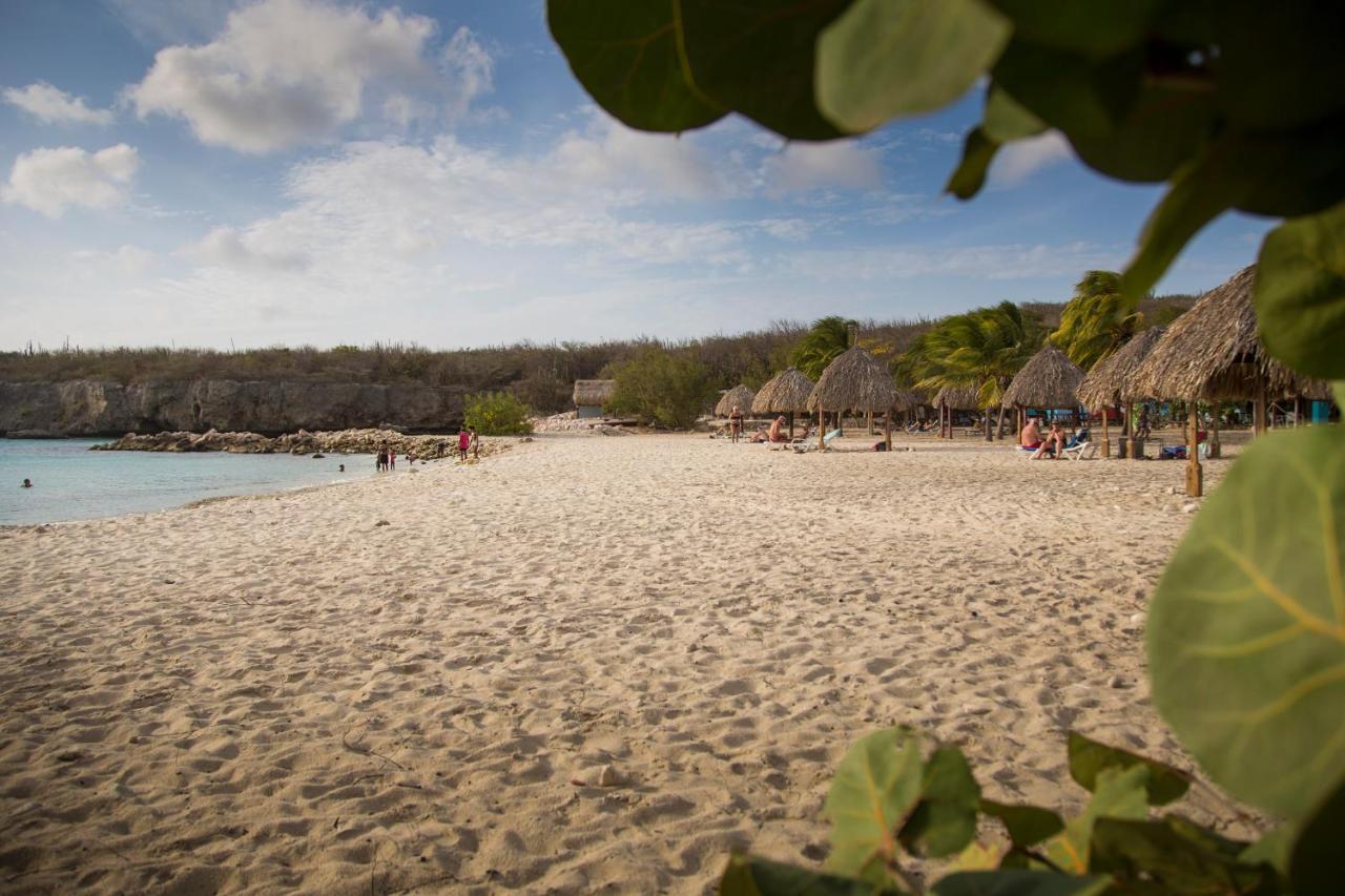 Botanique Bungalows Westpunt מראה חיצוני תמונה