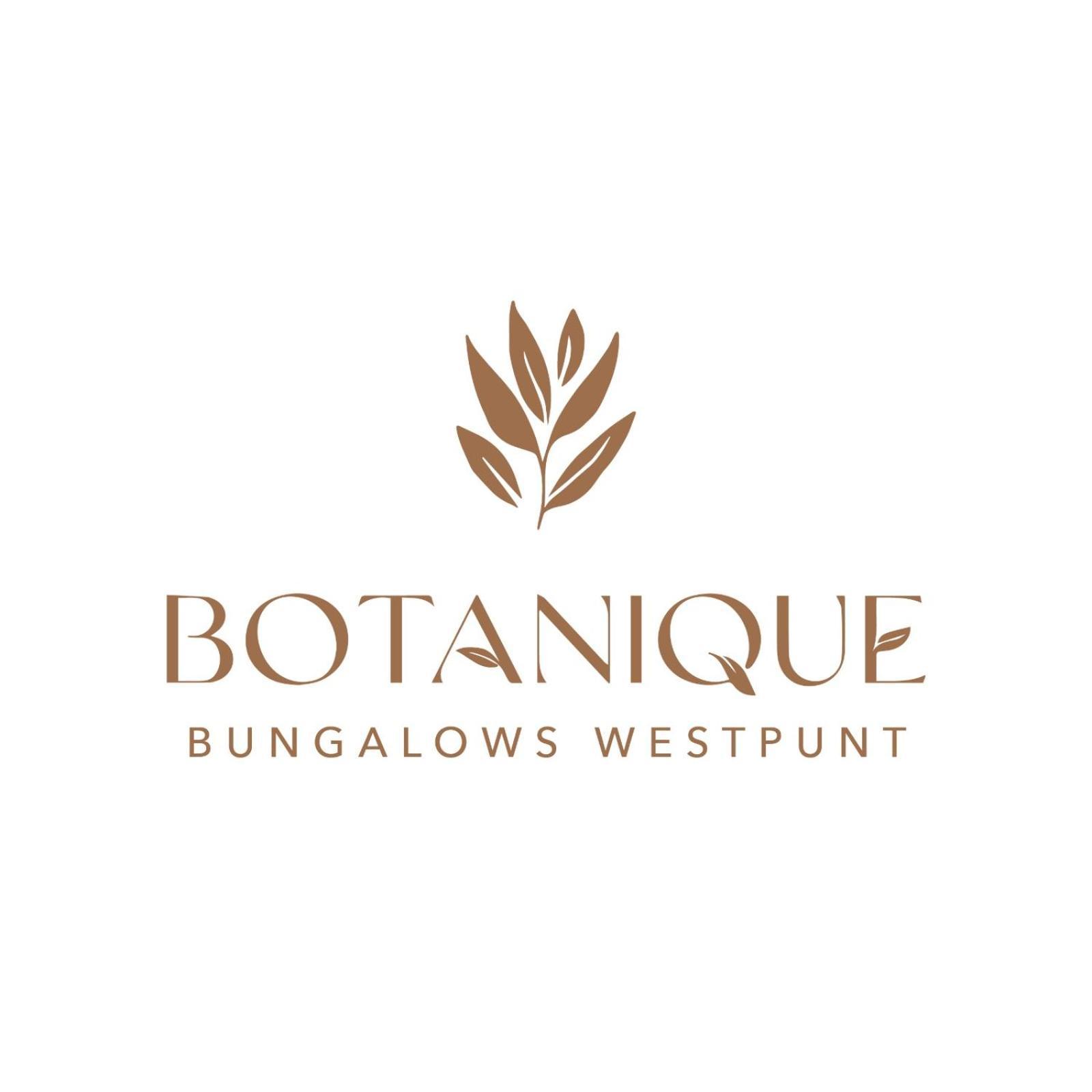 Botanique Bungalows Westpunt מראה חיצוני תמונה